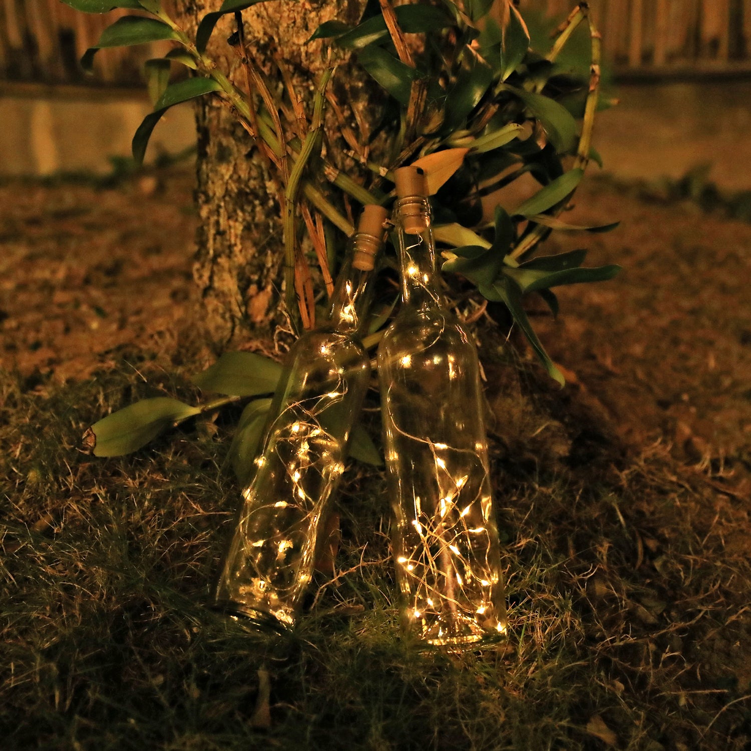 Battery-powered 2m/6.6ft 20-LED Bottle  Lights  (6 Pack)