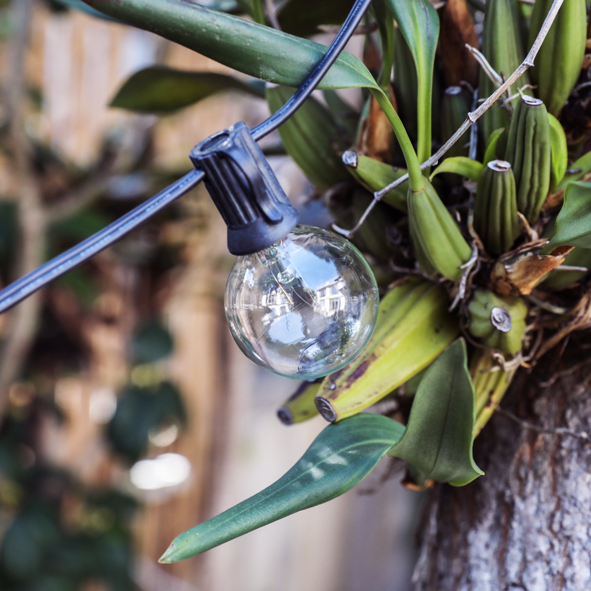 007_1 Plug-in 25-Bulb Connectable Vintage String Lights