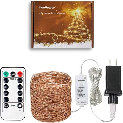 100 LEDs Copper Wire Lights 31V Low Voltage Plug Indoor String Lights Fairy Lights