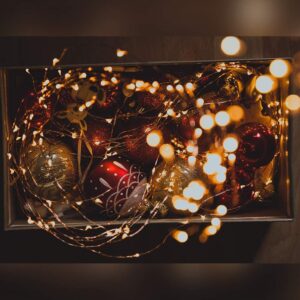 100 LEDs Copper Wire Lights 31V Low Voltage Plug Indoor String Lights Fairy Lights