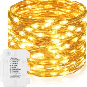 Decorative 36ft Fairy Lights with 100 LEDs for Indoor/Outdoor Use