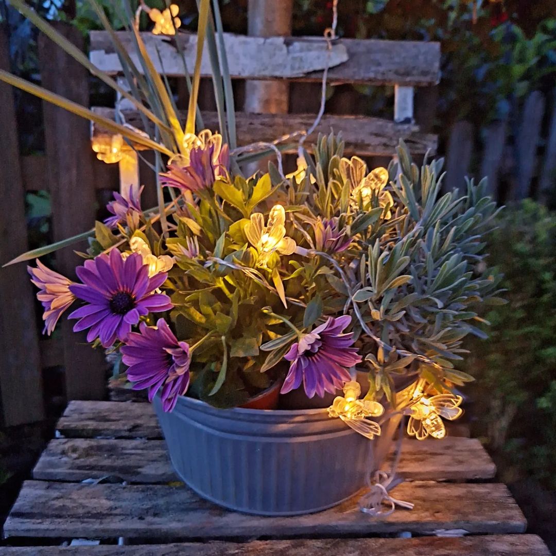 nordstern4 Solar Bee String Lights 33ft / 10M, 50 LEDs