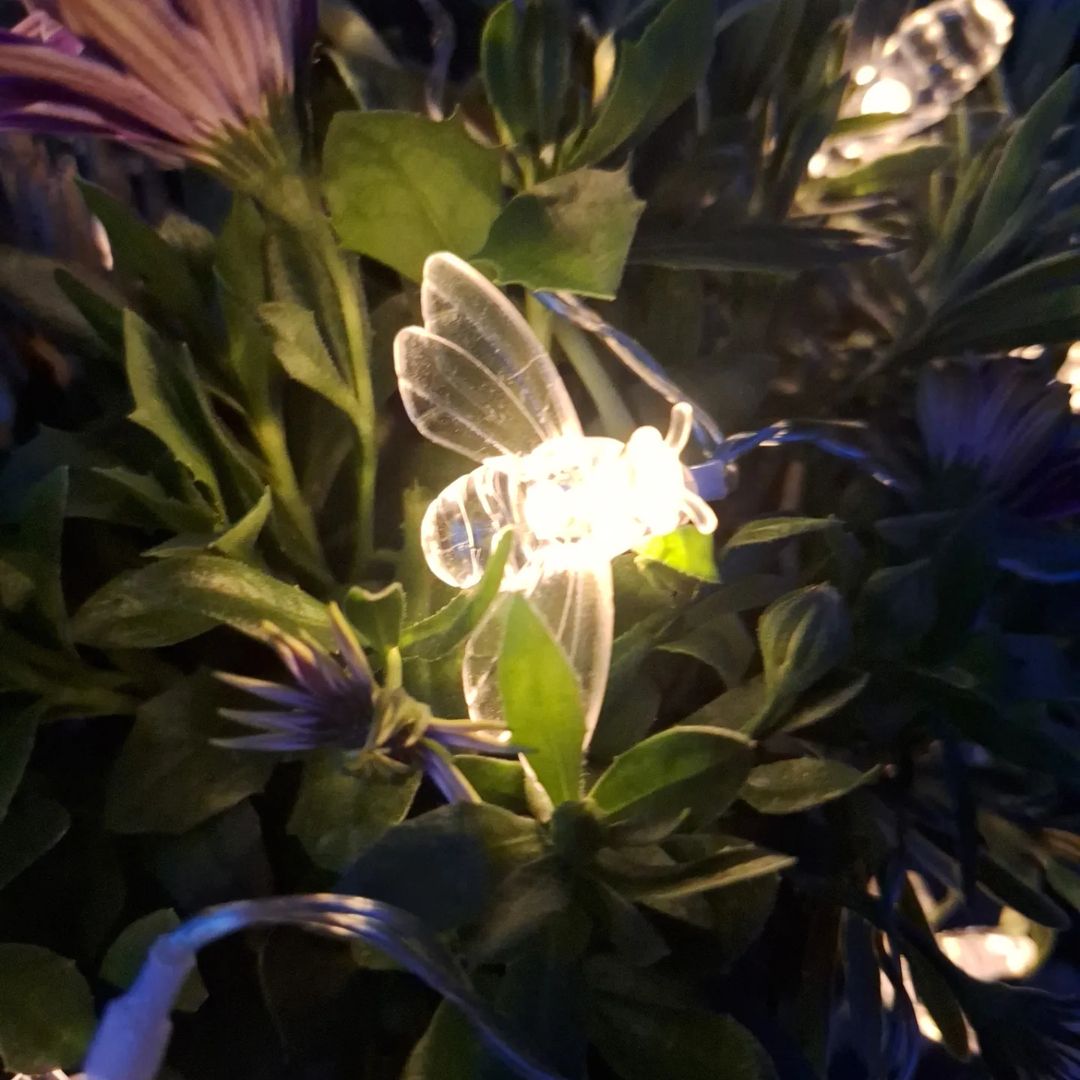 nordstern4_2_24ecb87f-4c6e-45c7-a5d4-2fefcbf02ffd Solar Bee String Lights 33ft / 10M, 50 LEDs