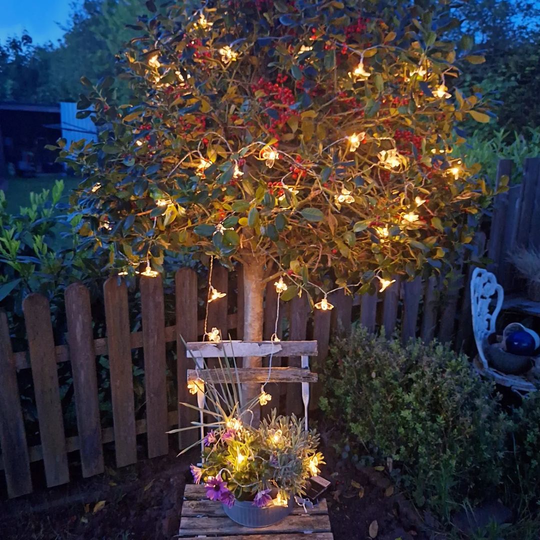 nordstern4_3 Solar Bee String Lights 33ft / 10M, 50 LEDs